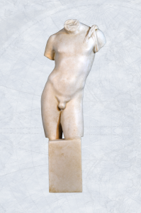 Torso masculino 07-73 w